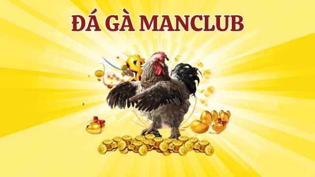 Tìm hiểu đá gà Manclub với công nghệ hiện đại